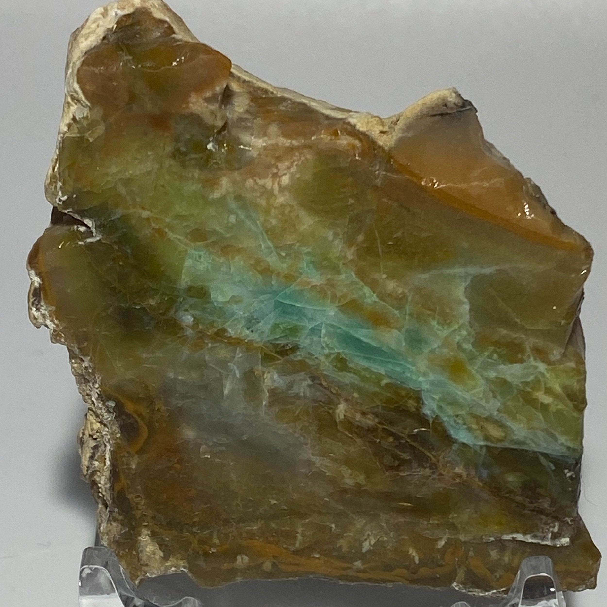 Rare High-Quality Indonesian Blue Green Opal Petrified Wood Polished Slab (11140)