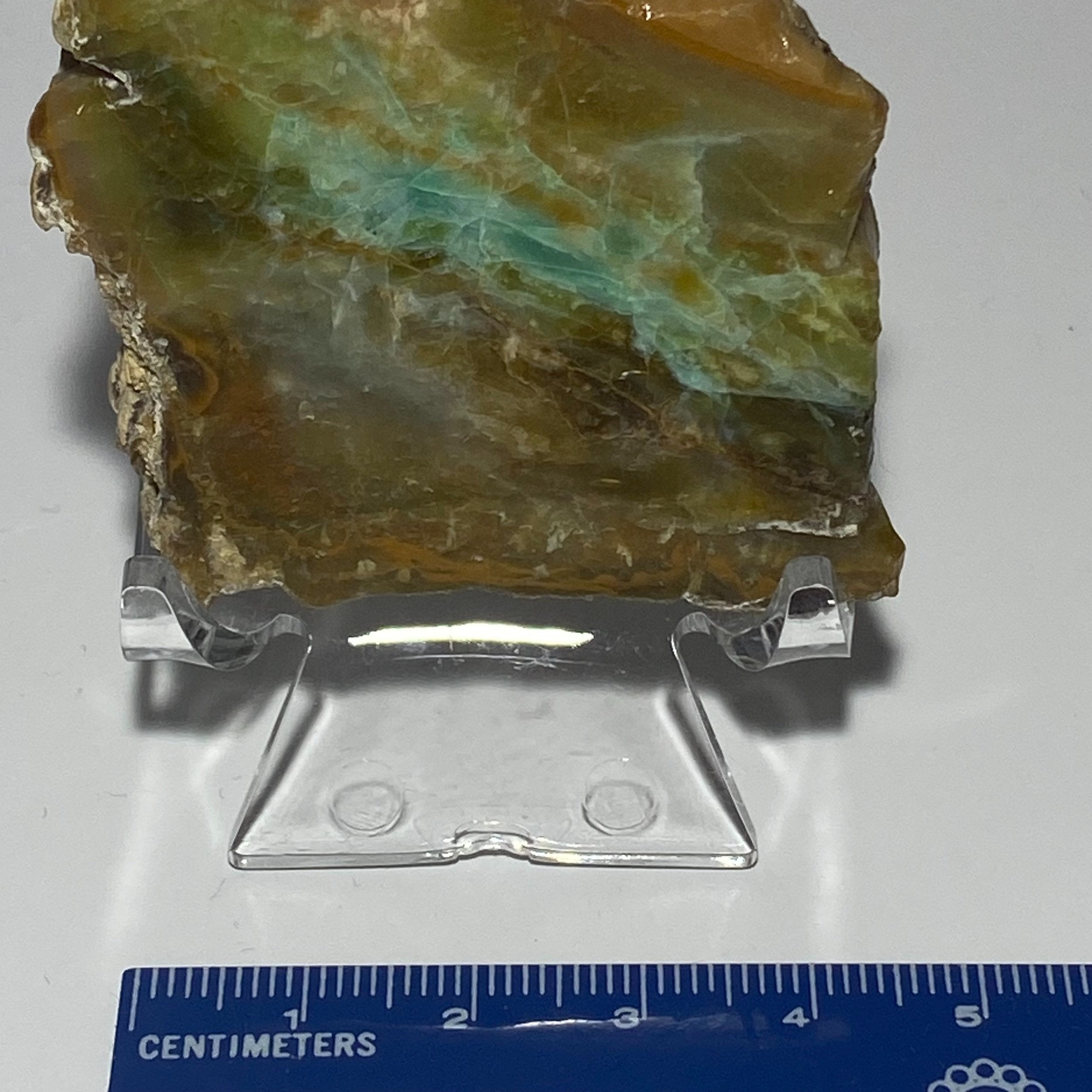 Rare High-Quality Indonesian Blue Green Opal Petrified Wood Polished Slab (11140)