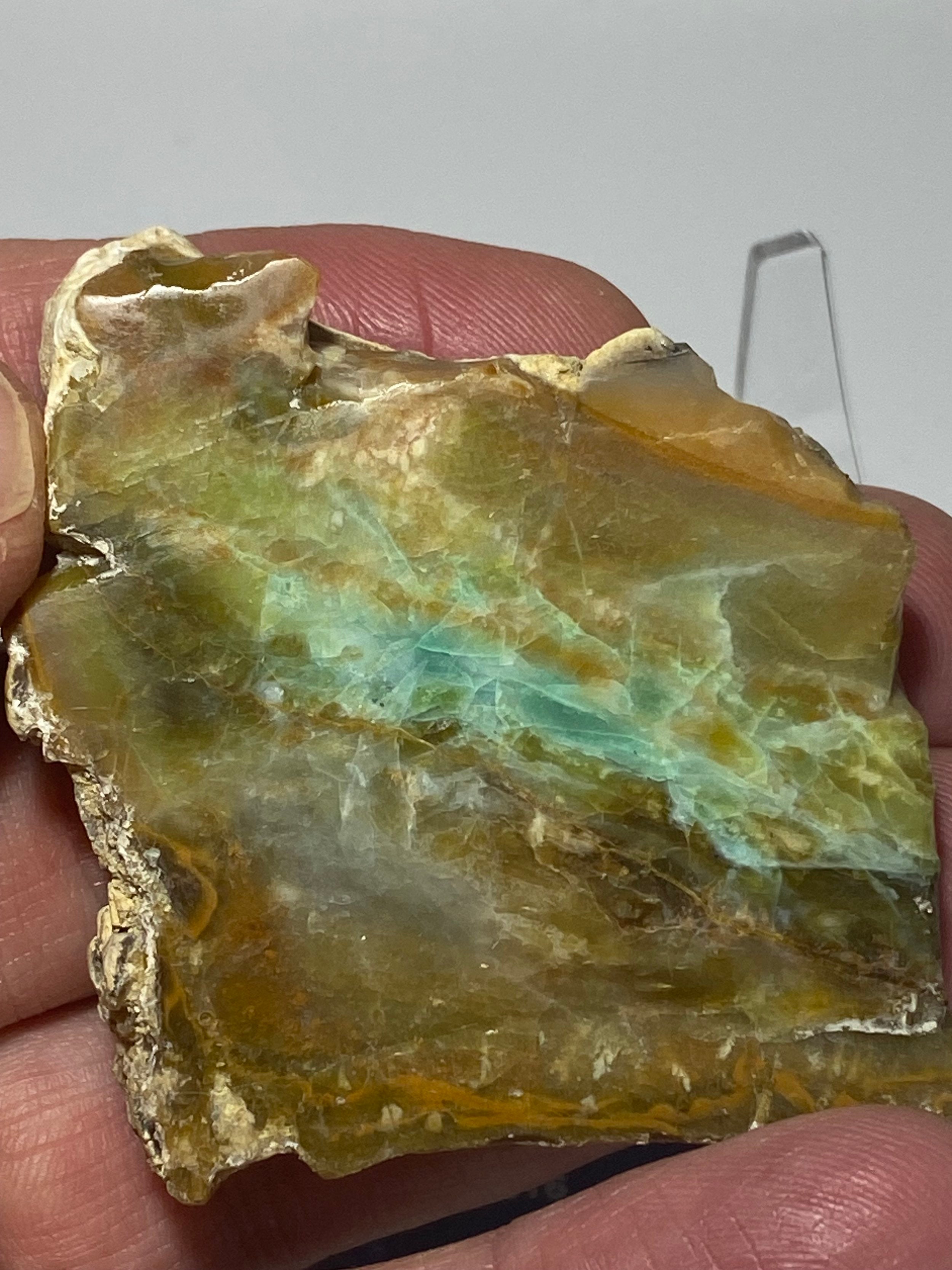 Blue opal good wood