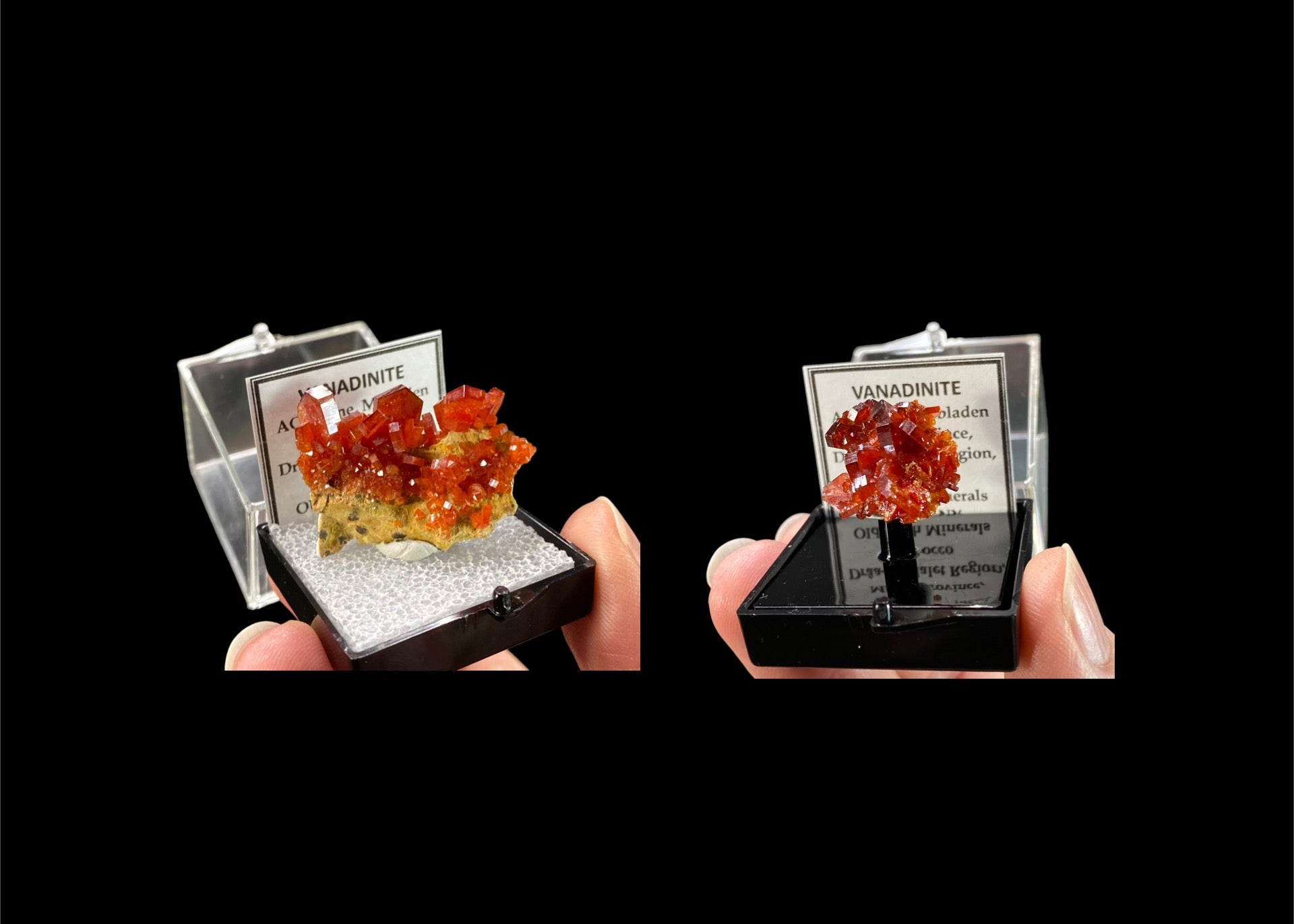 Vibrant orange vanadinite thumbnail sized specimens in perky boxes