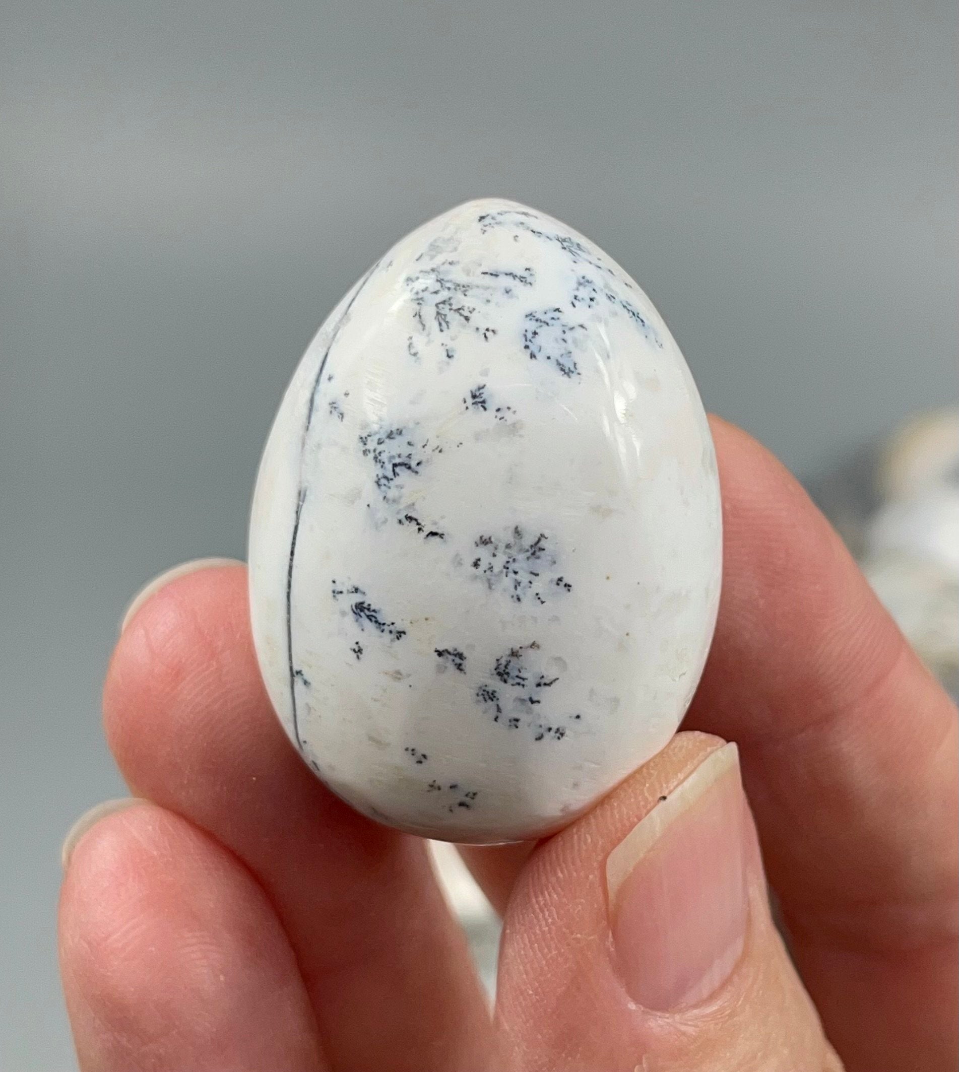 ONE (1) Dendritic Agate Tumbled Stone