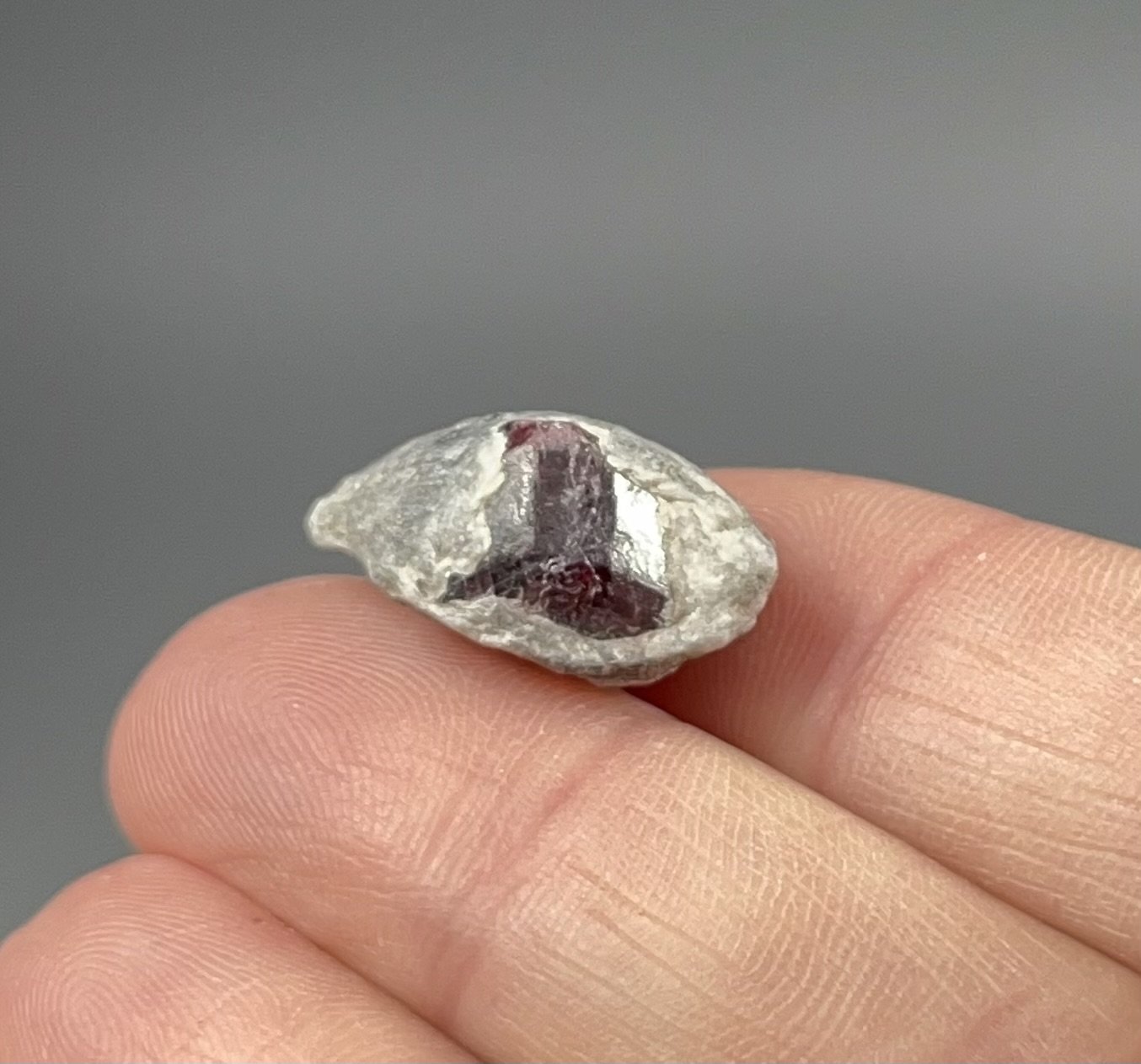 ONE (1) Red Garnet Crystal on Mica Schist Specimen