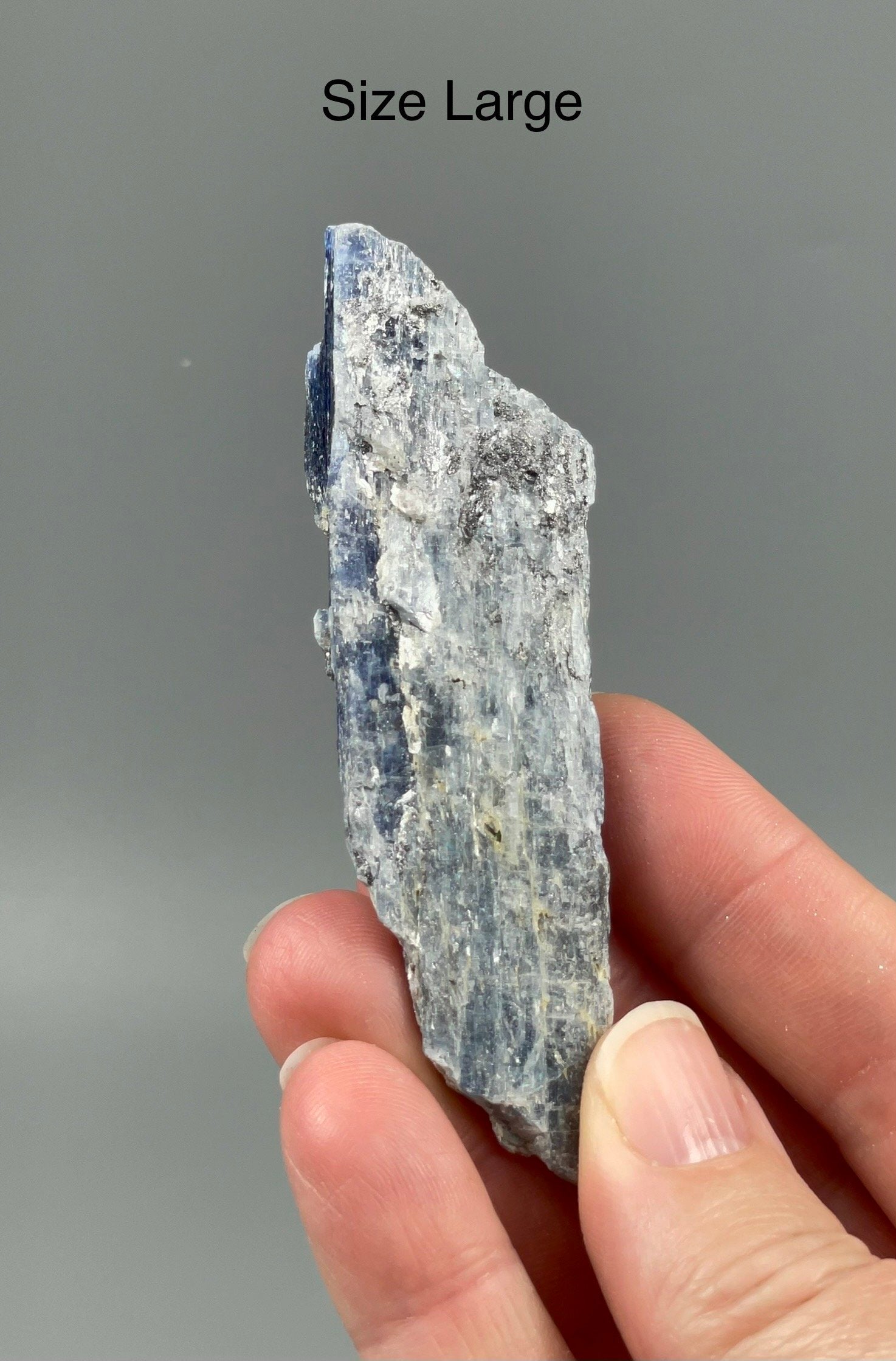 ONE (1) Blue Kyanite Specimen - 3 Sizes Available