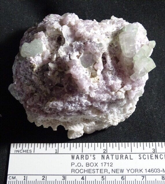Pale Green & Pink Watermelon Tourmaline Crystals with Lepidolite & Cleavelandite